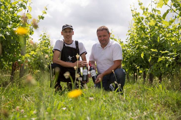 13924948_527628697435454_6598734251506463576_n