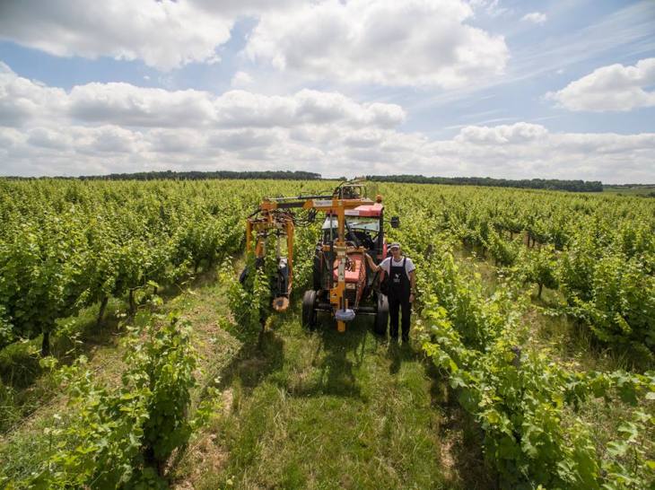 14054087_528121007386223_2561701119444031308_n