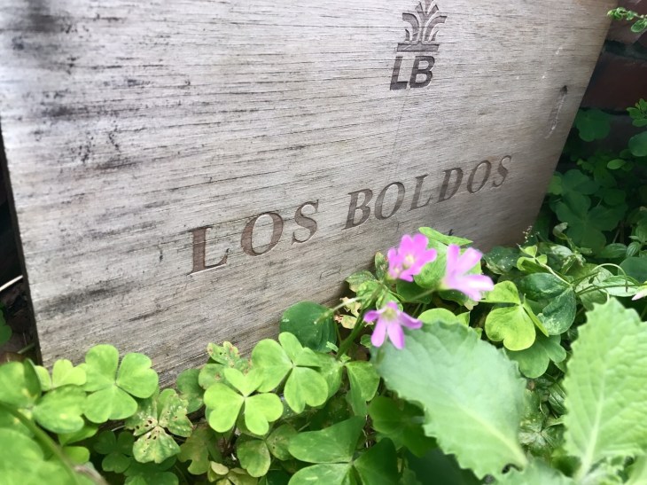 0428牛奶滑翔翼_170505_0002