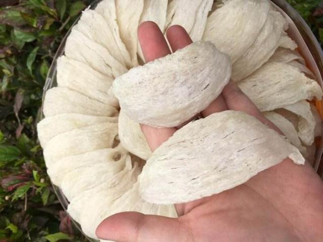 1o840002866ro383842o